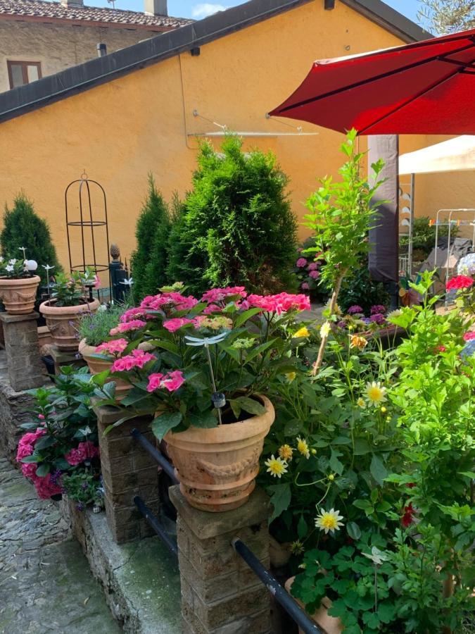 Ferienhaus, Rustico Auf Burg لوكارنو المظهر الخارجي الصورة